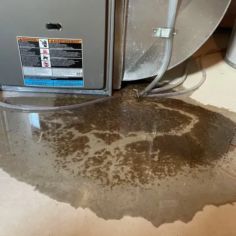 Appliance Leak Cleanup in Keokuk County, IA